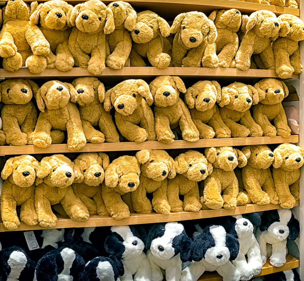 Editorial: November 5, 2021